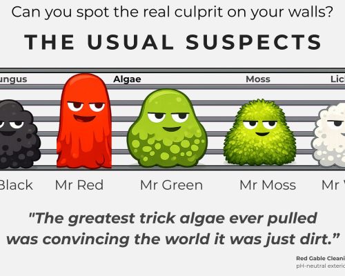 The Usual Suspects